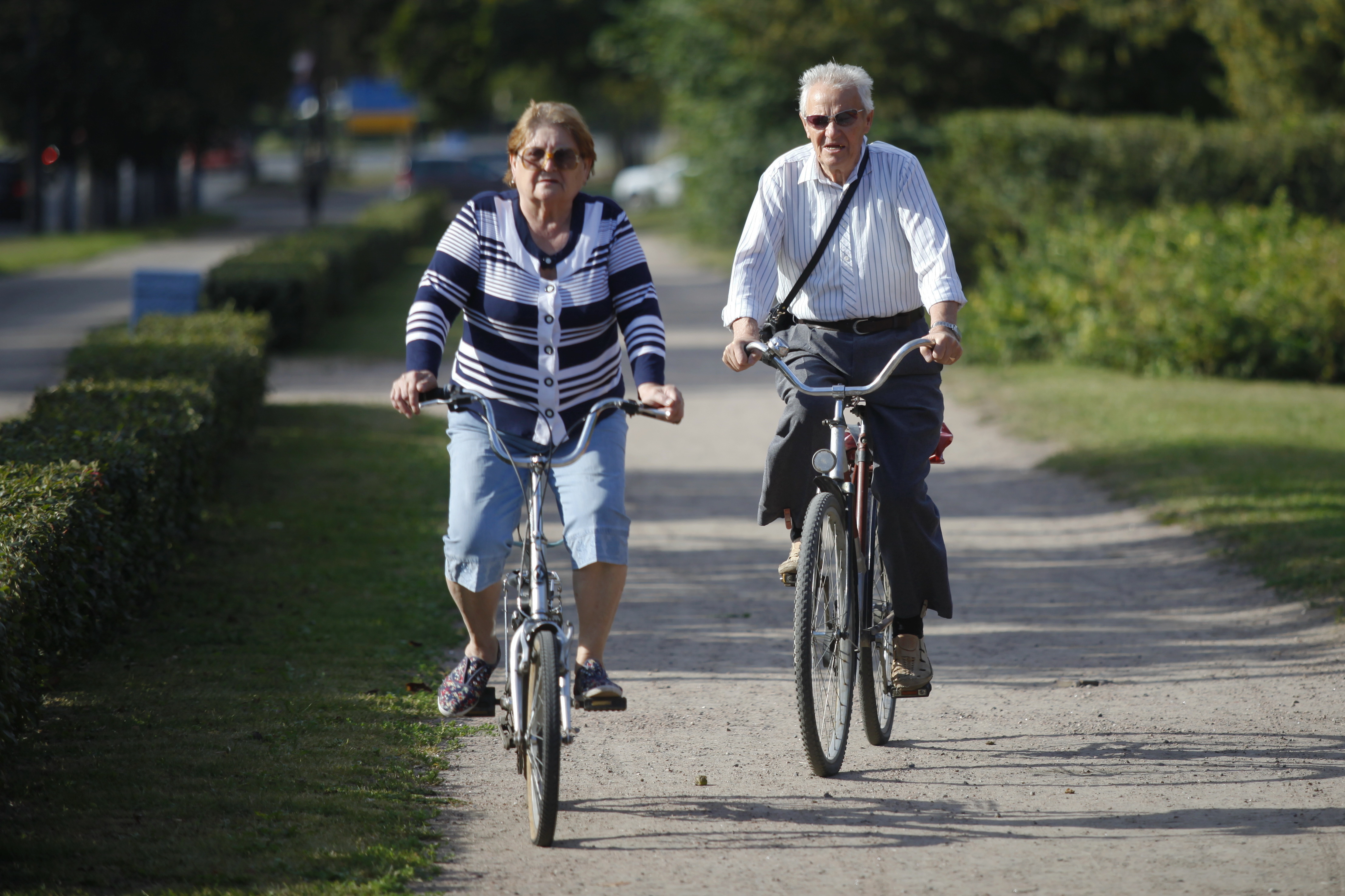 Дорога пенсионерам. Велосипед для пенсионеров. Велосипед для пожилых людей. Старик на велосипеде. Пожилой велосипедист.